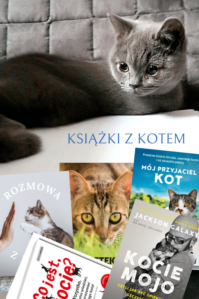 Najlepsze książki o kotach i z kotami w 2022 roku, czyli subiektywny ranking.